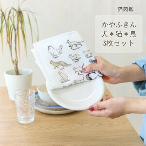 @ ӂ ӂ ӂ3Zbg vg ␶nӂ ᒠӂ Lb`NX z Lb`G Lb`pi M@ Lb`^I H@  ˂  