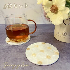 VFR[X^[ R[X^[6Zbg ی^R[X^[ JsXVF Lk hbg gC 󂯎M \[T[ ][gG AWAG Lb`G ۂR[X^[ v[g Mtg 