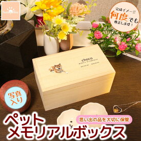 ペット メモリアルボックス 写真入 遺毛入れ 桐箱 名入れ無料 形見 ひげ 歯 思い出 遺骨 遺品 カプセル ペット メモリアル ケース 遺毛 遺灰 桐 メモリアルケース メモリアルグッズ 遺骨入れ 仏具 分骨 木製 木 骨入れ 遺骨ケース ペット供養 犬 猫