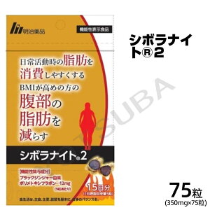 シボラナイト2の人気商品・通販・価格比較 - 価格.com