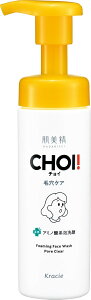  y򕔊Oiz CHOI A p ьPA 110g | tH[ XLPA ь p p 