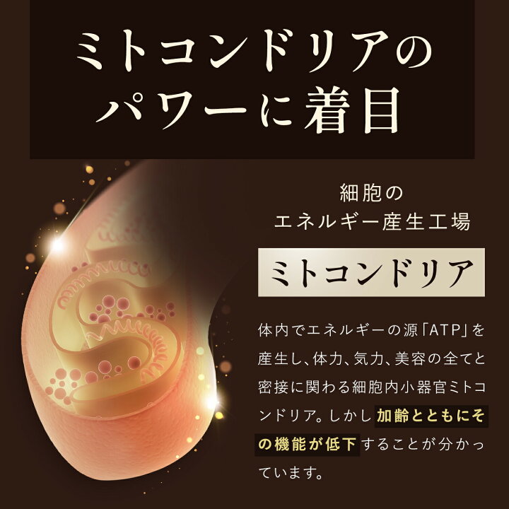 楽天市場】＼P5倍確保+1000円OFFチャンス／GBKミトコンプラス5-ALA 
