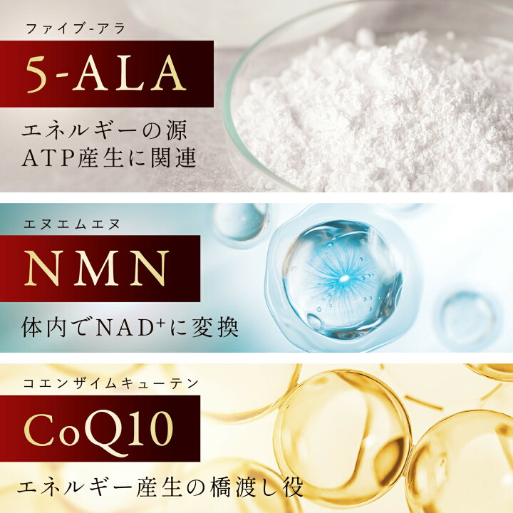 楽天市場】＼P5倍確保+1000円OFFチャンス／GBKミトコンプラス5-ALA 