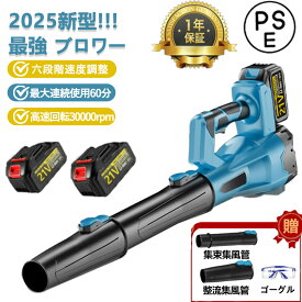 【2025年新発売六段階風速調整】ブロワー 洗車 充電式ブロワー 超強力 ジェットドライブロワー 電動 エアダスター コードレス ブロアー 小型軽量電気エアダスター ターボジェットファン300000rpm 高速回転 21V互換対応 ハンディー 小型ミニ