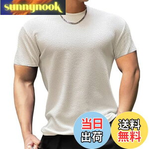 yz[Anmur] WtVc  Y ؃g Xgb` tBbglX g[jO X|[c  z ʋC   FFzCgATCYFXL