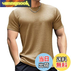 yz[Anmur] WtVc  Y ؃g Xgb` tBbglX g[jO X|[c  z ʋC   FFJ[LATCYF3XL