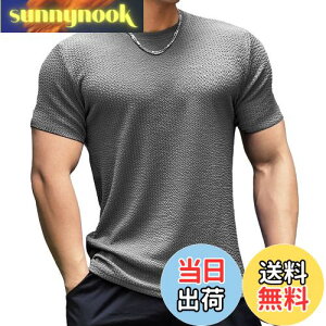 yz[Anmur] WtVc  Y ؃g Xgb` tBbglX g[jO X|[c  z ʋC   FFO[ATCYF3XL