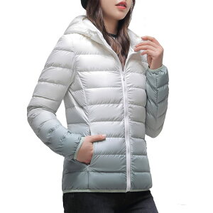 yz[netero] Of[V _EWPbg fB[X _ER[g y ۉ _EAE^[ h h  H ~ FF2203O[ATCYFS