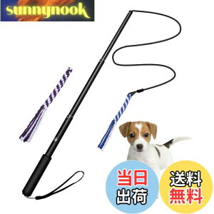 yzpފƂ [v   hM[} Pp p ފƌ^ OߐLkł 2pt 3`5Jɔzς