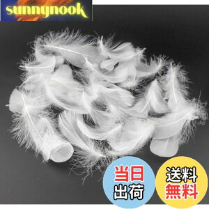 yzKingsie VR H 100Zbg tFU[V[ HV[ |f  EGfBO o (zCg)