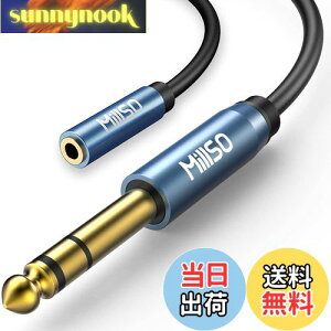 yzMillSO 6.35mm 3.5mmϊ 3m XeI~jvOiXj˃XeIWvOiIXjTRS 6.35mmtHvO AvwbhzϊP[u WvO ~jvO ϊ bLi30