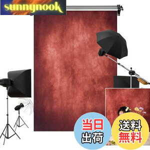 yzKate 1.5x2.2m  ԂF wiz eNX` ʐ^ wi lBe Bep wi z JX^}CY\wi