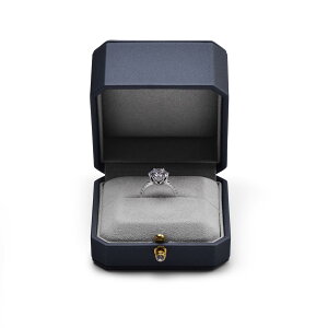 yzOirlv wփP[X OP[X PUU[ ^ ~j 1p v|[Y LO ȂǂɓK MtgP[X H07601 (lCr[)