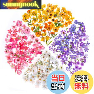 yzYOVOY 164 R[W f V[ ԃV[Zbg t[NV[ XebJ[ e    A 蒠fރXebJ[ KXrƉ