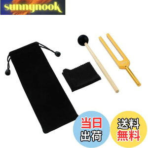 yzDreld 528Hz  `[jOtH[N `[i[ DNACq[O ȃq[Oy N[jONX VRn}[ [|[`t 򉻁AVg̉F S[f