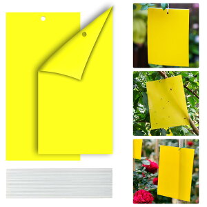 【送料無料】【BEAUTY PLAYER】虫取り 粘着シート 捕虫シート 防虫シート 害虫捕獲粘着紙 植木鉢 畑 昆虫トラップ 虫よけプレート スティッキー 粘着トラップ フライング 昆虫スティッキー キ