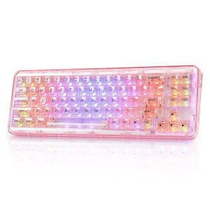 【送料無料】YUNZII X71 メカニカルゲーミングキーボード 透明キーキャップ 71キー 68%配列 ワイヤレス ホットスワップ対応 BT5.0/2.4G/USB-C ガスケット搭載 RGB 無線 Windows/Mac用 技適認証取得(クリ