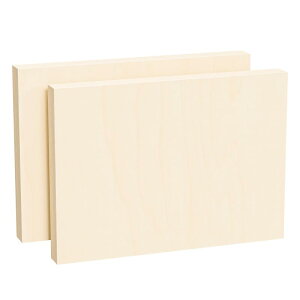 【送料無料】HANSILK ウッドキャンバスボード 木製パネル 張りキャンバス キャンバス シナベニヤパネル B5 256*182mm 画材 木製フレーム 画板 油絵 絵画用 2枚セット