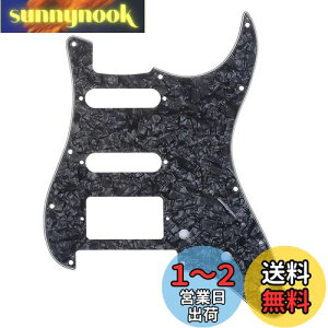 yzMusiclily Pro 11 HSS STXggsbNK[h American/LVRFender StratXggLX^[GLM^[ Floyd RoseubWJbgpA4vCubNp[
