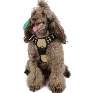 【送料無料】Rabbitgoo 犬 ハーネス 中型犬 13-20KG ソフト かわいい 犬用胴輪 引っ張り防止 負担が少ない首輪 サイズ調整可 夜間反射 抜けない 通気性 咳き込み防止 散歩 歩行補助 老犬介護 しつ