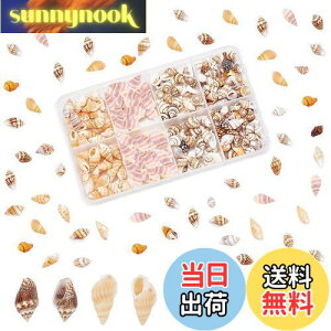 yzPH PandaHall 260 VF Lk Zbg L ~bNX r[`VF fRf r[` ANZT[p[c |pi f   p[eB[  C̓ Ă̑