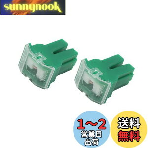 【送料無料】ACROPIX PALカートリッジヒューズ メス端子 DC 32V 40A 車用 プラスチック グリーン 2個