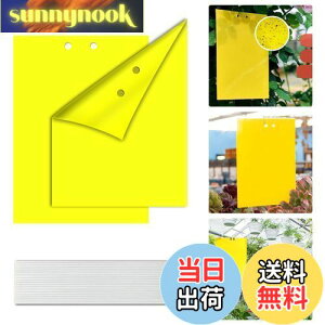 yzyBEAUTY PLAYERz SV[g ߒV[g hV[g QߊlS Aؔ  gbv 悯v[g XeBbL[ Sgbv tCO XeBbL[ L