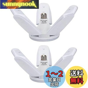 yzLaiqianle K[WCg 100w 2 LEDV[OCg y_gCg Ɠ 6 F 6500K VƖ tȒP Hsv px߉\ ȃGl Ԍ q [ HpCg 
