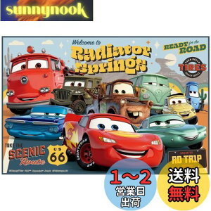 yzXP[^[(Skater) qp W[V[g  STCY 60×90cmTCY fBYj[ J[Y 24 VS1-A