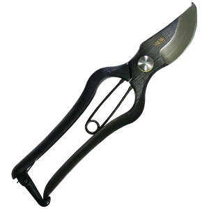 yzߗ^(KONYO) { ł  炩Ȑ؂ƊmȐ؂ꖡ ̂Â̊XuVOsv̏ɂ`Zp 20.5cm