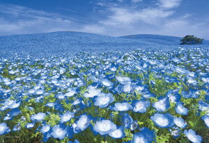 yẑ܂(Yanoman) y{z300s[X WO\[pY {i Ȃu  (26x38cm) 03-911 s[XnKL ̂t ւt T[rXJ[ht WO\[pỸgZc