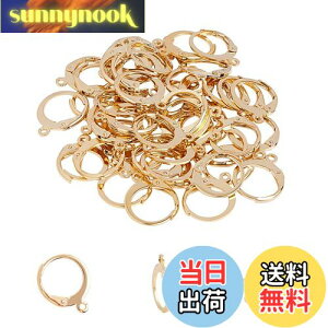 yzUNICRAFTALE 50 1mm t[vsAXp[c 304XeXo[obNCOp[c tX [vt CNbv sAX p[c tbN S[f  X^bhs