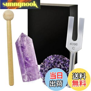 yzNX^`[i[ 4096Hz  VR 򉻗p 5_Zbg bNX {t AWXg WH26 - Purple