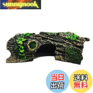 yzCharmoon ANAE IuWF  B  I[ig  u CeA 