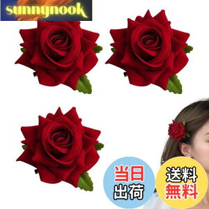 yzDoyime ỏԁy3{ZbgzKNt[RT[W Ԕ 傫ȉԂ̃u[` ԉ wbhhX   uC_ wbhhX _[Nbh