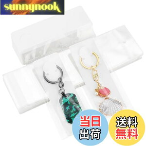 yzPH PandaHall 䎆 uXbg L[z_[p 100 OPPܕt L[O Wp  WJ[h n ANZT[p[c ̔p WG[p nhCh ifBX