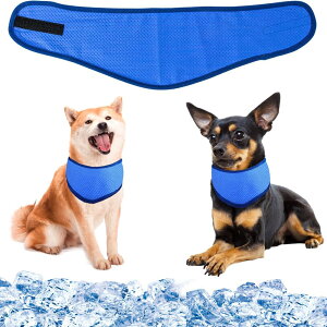 yzpN[o_i N[lbN p⊴O ybgpp pN[XJ[t p^I ybgp⊴ pXJ[t {[_[ ΍ObY ₷ 