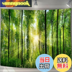 yzU-SITU ^yXg[ Ǌ| Ǐ X  ъ RiF IV wi @\ z|X^[ CeA ͋C]iTCYF75cm x 100cmjJ[FGT0107SA