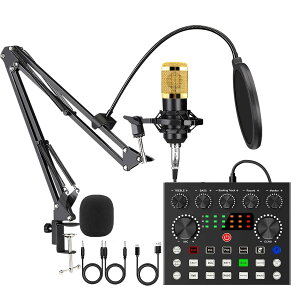 【送料無料】BONKYO カラオケセット家庭用 DJ ミキサー セット ライブ配信に対応 V8S オーディオインターフェース ミキサー オーディオ ライブ サウンドカード 男声 女声 ボイスチェンジャー/