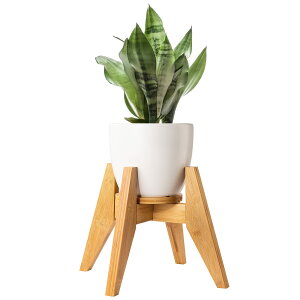 yzt[X^h Yangbaga X^h | Ƒ O  K[fjO ߉\ ő׏d30KG