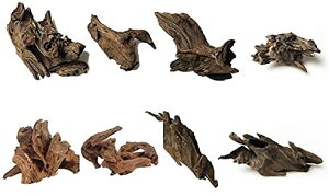 yz8 كVN R GCuؐ̑ i 8`10cmj