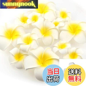 yzYesallwas wA Nbv s vA  7cm 20Zbg Ԃ̂  wA Nbv s vA   DIY  p[eB[p t ʐ^Be