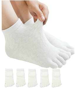 yz[InSomila] [C\~] 5{w\bNX qp ėpC XN[\bNX C bV ̎q j̎q LbY \bNX n 5Zbg  C q  ʊwp \b