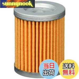 �y���������z�L�^�R (KITACO) �I�C���t�B���^�[�G�������g K-PIT S-05 �X�J�C�E�F�C�u250 �o���o��200 �}�O�U�� �O�����h�}�W�F�X�e�B �� 70-390-12050