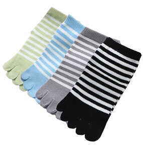 yz[InSomila] [C\~] LbY \bNX 5{w \bNX C ̎q j̎q 4Zbg {[_[   ʉ ʊw ܖ{w