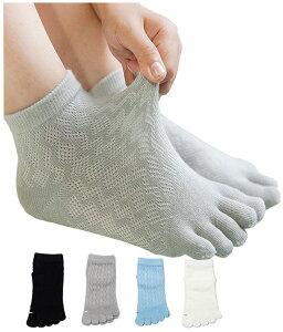 yz[InSomila] [C\~] LbY 5{w\bNX C bV 4FZbg ̎q j̎q \bNX  n  ʉ ʊw ʋC