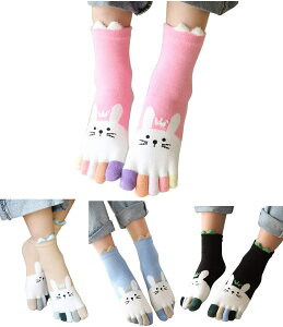 yz[InSomila] [C\~] e 5{w \bNX LbY ̎q C 4 Zbg   ʉ ʊw