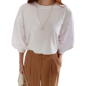 yz[7-livehouse] tVc fB[X  gbvX ptX[u ۋ  傫TCY  n  Vv 炵 ꂢ ʋ ItBX  t 