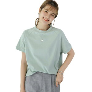 yz[7-livehouse] tVc fB[X  gbvX N[lbN ؂ւ ێ n ̌^Jo[  JWA  傫TCY ꂢ t`X[u ItBX t 