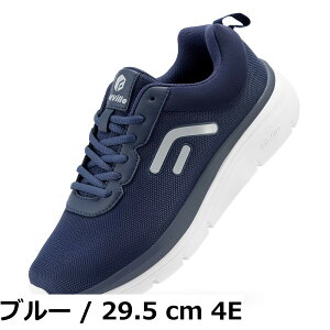 �y���������z[FitVille] ���L �X�j�[�J�[ �����Y 2E 4E �E�H�[�L���O�V���[�Y ���� �y��